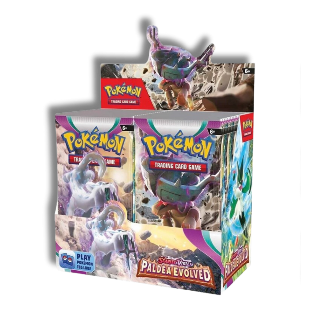 Caja de 36 Sobres de Paldea Evolved - Inglés 🇬🇧
